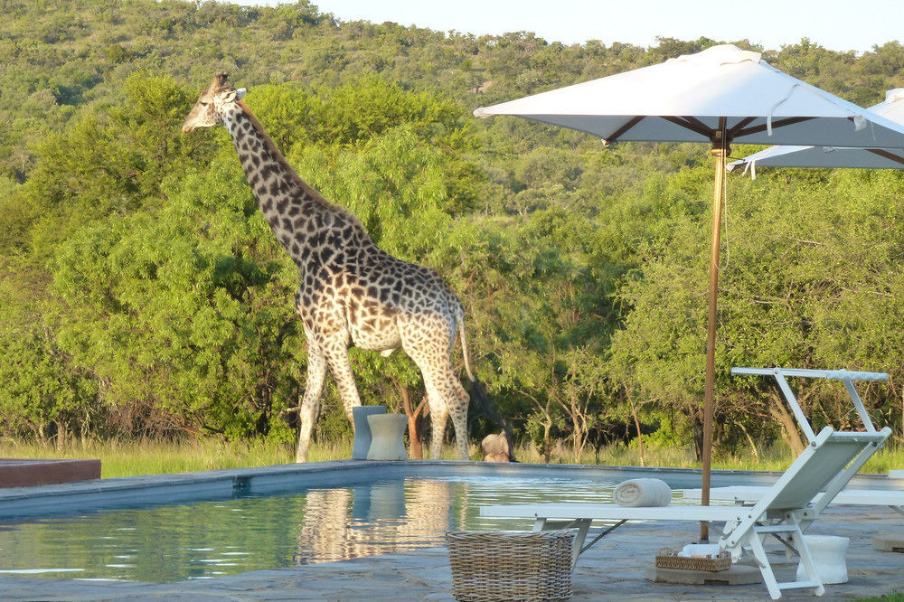 Zebras Crossing Private Game Lodge Modimolle Exteriér fotografie