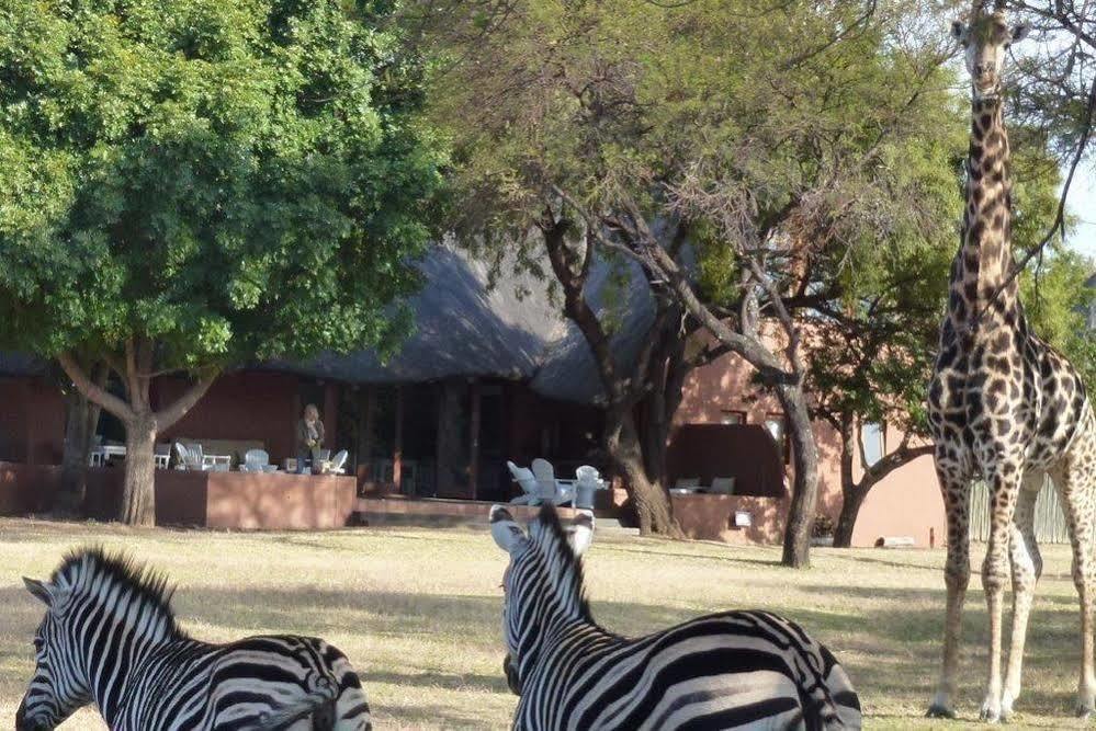 Zebras Crossing Private Game Lodge Modimolle Exteriér fotografie