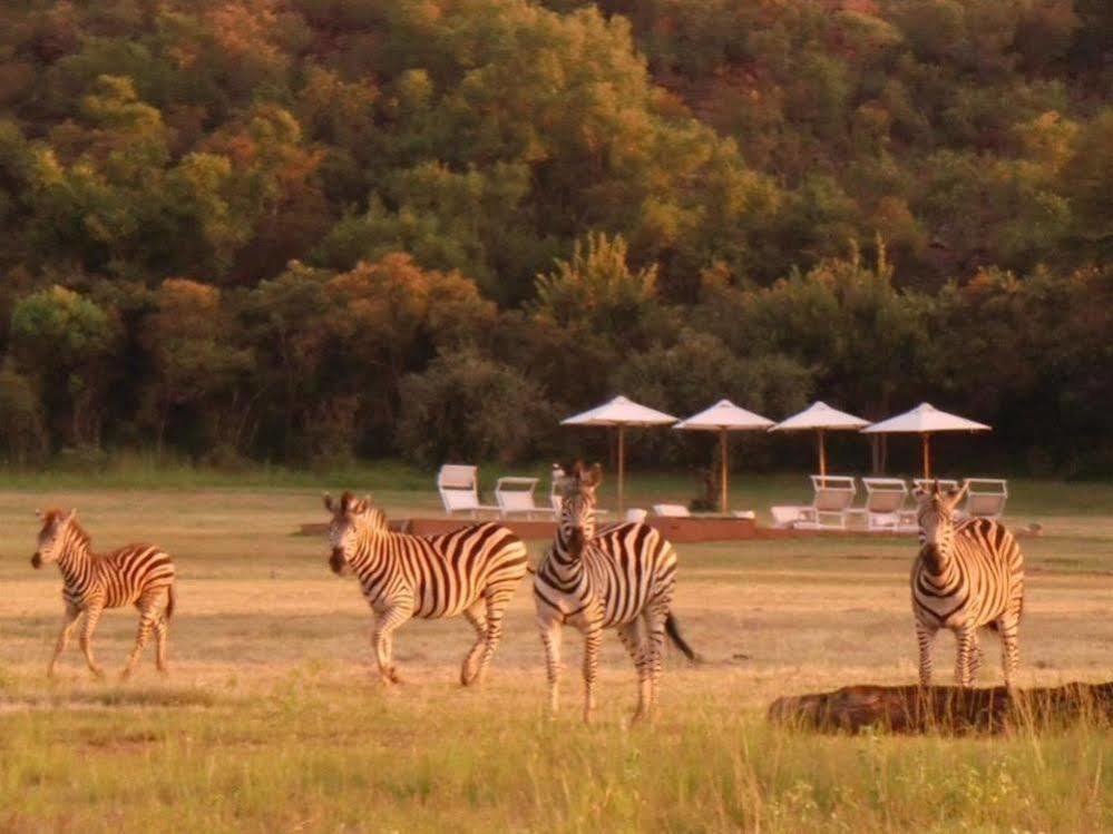 Zebras Crossing Private Game Lodge Modimolle Exteriér fotografie