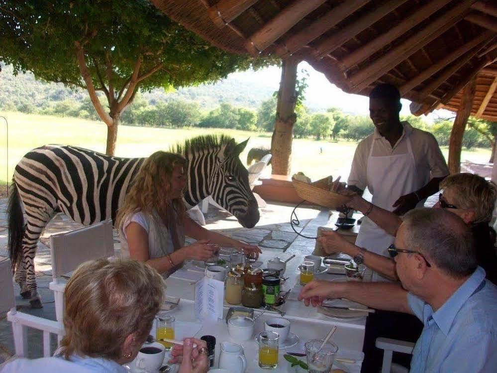 Zebras Crossing Private Game Lodge Modimolle Exteriér fotografie