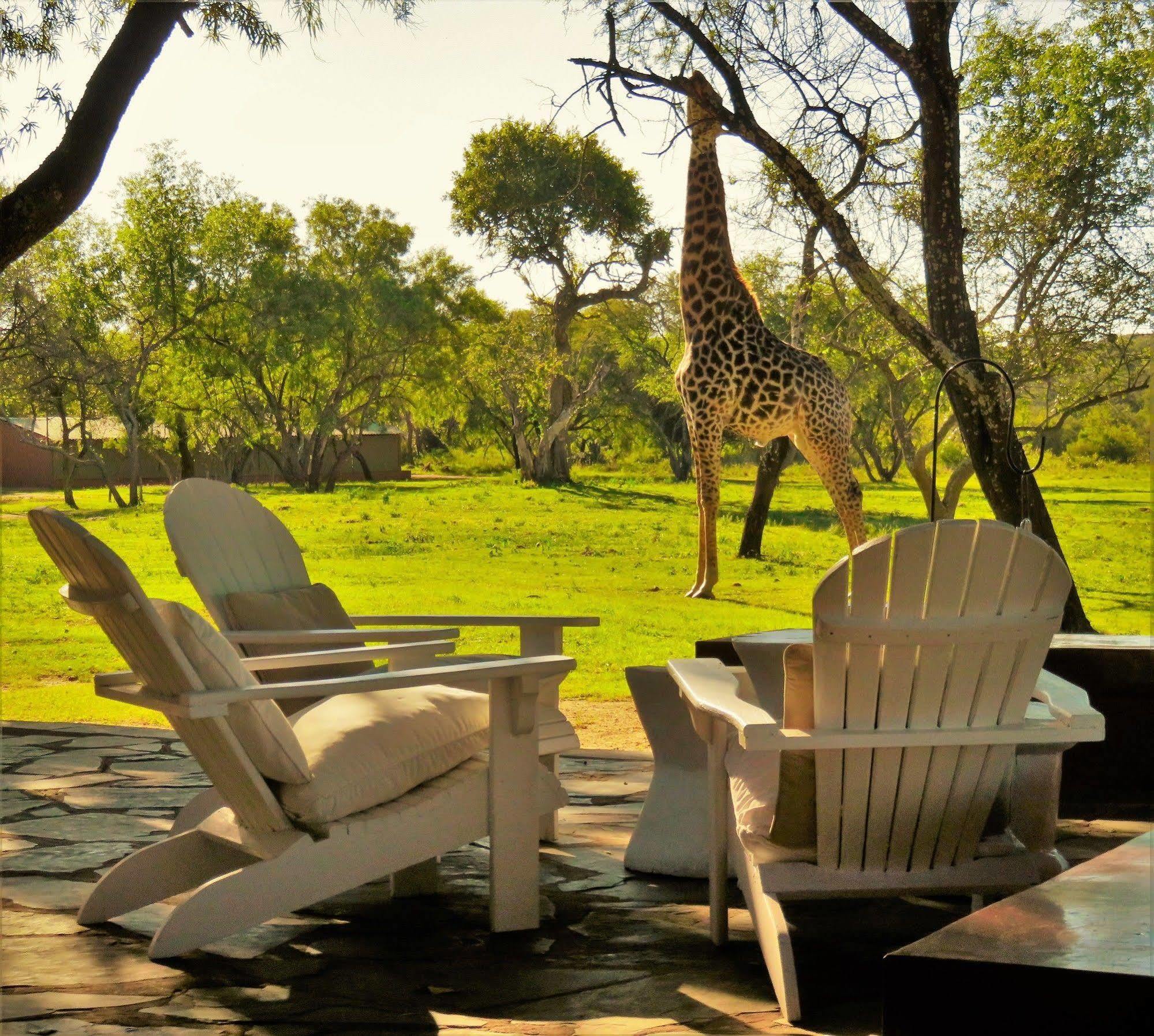 Zebras Crossing Private Game Lodge Modimolle Exteriér fotografie